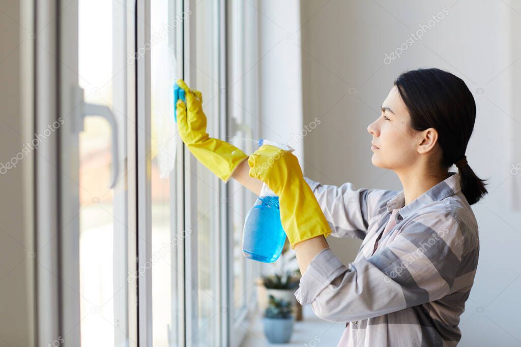 Housekeeper doing chores