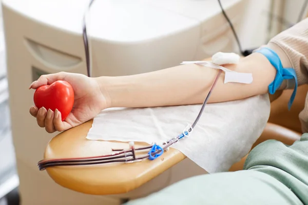 Bloeddonor Met Katheter Pleisters Met Speelgoed Hart Bloed Doneren Het — Stockfoto