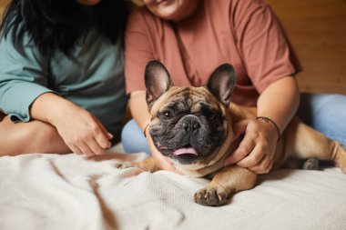 Köpekle oynayan arkadaşlar