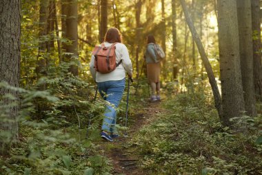 Ormandaki arkadaşlar.