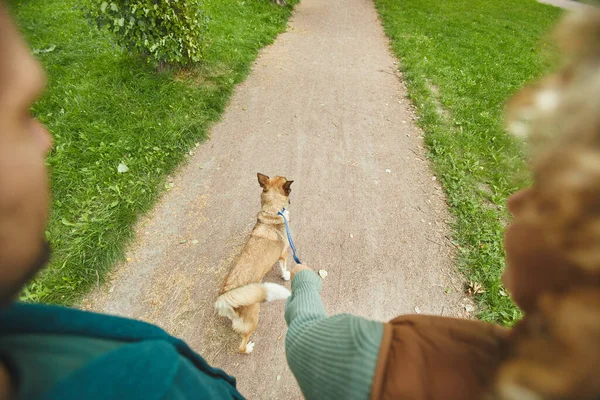 Пара прогулок с домашним животным — стоковое фото