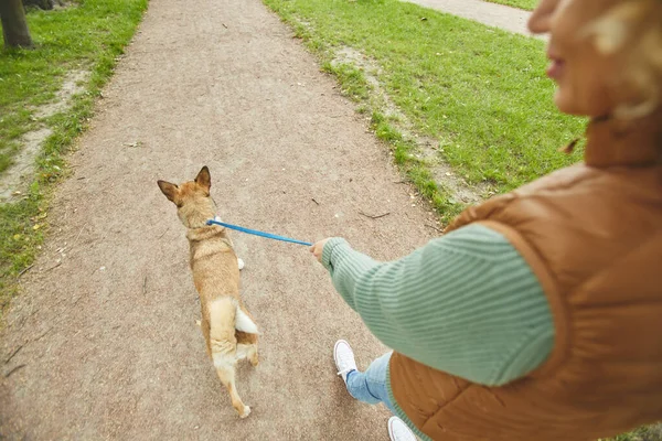 밖에 개를 데리고 있는 여자 — 스톡 사진