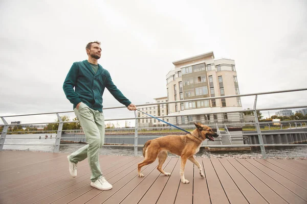 Человек с собакой в городе — стоковое фото