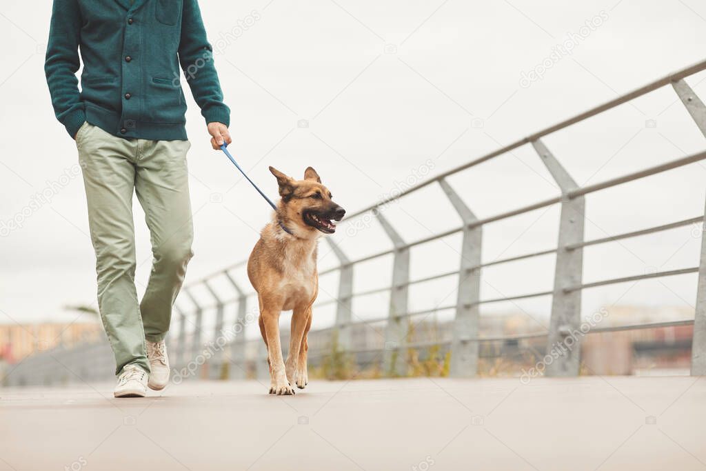 Walking with dog in the city