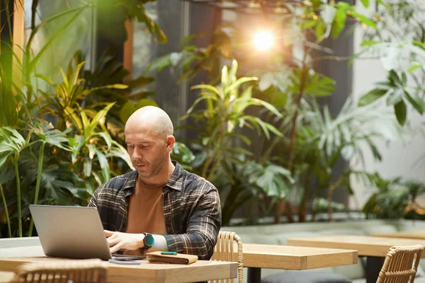 Hombre trabajando en línea — Foto de Stock