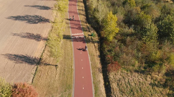 Hollanda'da bisikletçiler ile bir bisiklet otoban yolu üzerinde havadan görünümü yan boyunca uzun sonbahar ağaçları ile bir banliyö ortamında