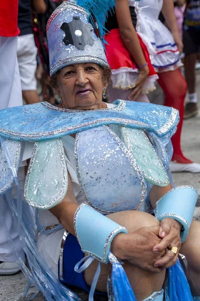 Rio Janeiro Brazil March 2014 Elderly Woman Festive Costume Carnival — 图库照片