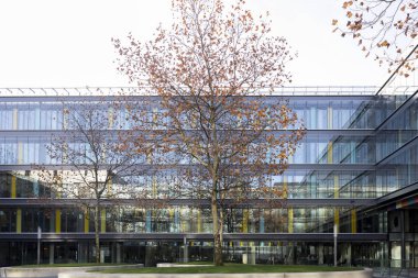 Hollanda'da sonbahar renkleri ile ön planda bir ağaç ile simetrik modern bina