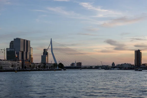 荷兰鹿特丹 2016年9月23日 在金钟日落时分 带电缆桥的现代城市的剪影天际线 — 图库照片