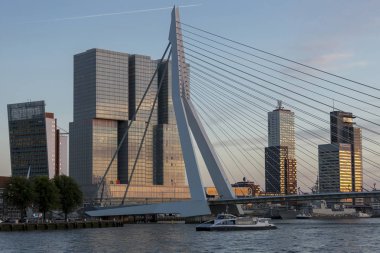 Rotterdam, Hollanda - 23 Eylül 2016: Altın saat gün batımında ünlü Erasmus köprüsü ve modern gökdelenler ile finans bölgesi silüetini geçen toplu taşıma su otobüsü