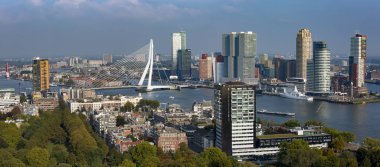 Rotterdam, Hollanda - 26 Eylül 2017: Ön planda şehir parkı ile panorama, daha geniş liman alanı arasında arka planda Erasmus köprüsü de dahil olmak üzere finans bölgesi ve şehir merkezi