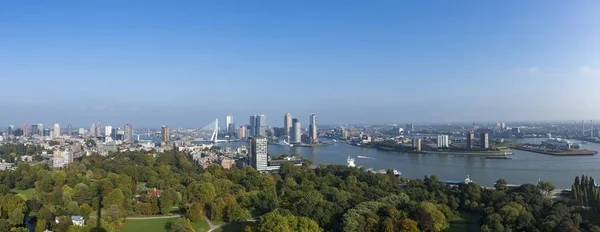 Panorama Gród Rotterdam Holandia Parku Miejskiego Pierwszym Planie Dzielnicy Finansowej — Zdjęcie stockowe