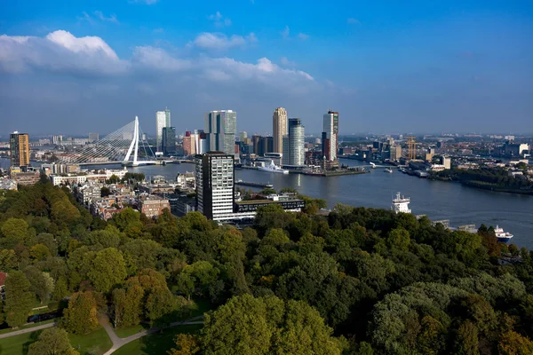 ロッテルダム オランダ 2017 背景に有名なエラスムス橋を含む前景と金融地区と市内中心部の都市公園と都市景観 — ストック写真