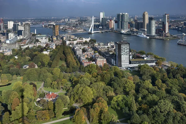 ロッテルダム オランダ 2017 より広い港湾エリアの間で背景にエラスムス橋を含む前景 金融街や市内中心部の都市公園とパノラマ — ストック写真