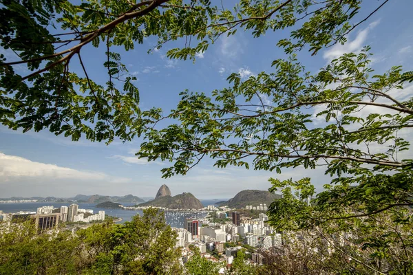 里约热内卢糖面包山的全景 从高高地绿地环绕 城市和港口在明亮的一天与蓝天在前景 — 图库照片