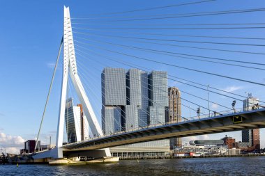 Açık mavi gökyüzüne karşı arka planda Hollanda kentinde finans bölgesinin ön planda ve yüksek binalar Erasmus Köprüsü ile gün batımında Rotterdam Cityscape
