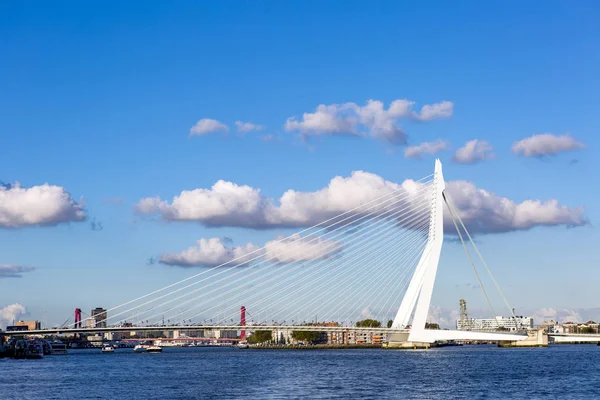 Cityscape Rotterdamu Nizozemsko Mostem Erasmus Viděným Vody Proti Jasné Modré — Stock fotografie