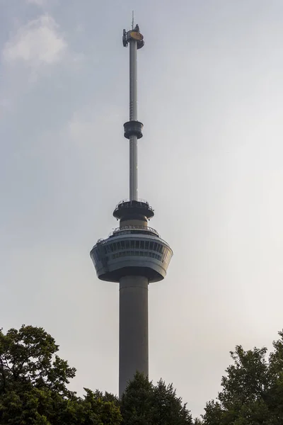 Het Silhouet Van Euromast Rotterdam Torent Hoog Boven Het Stadspark — Stockfoto