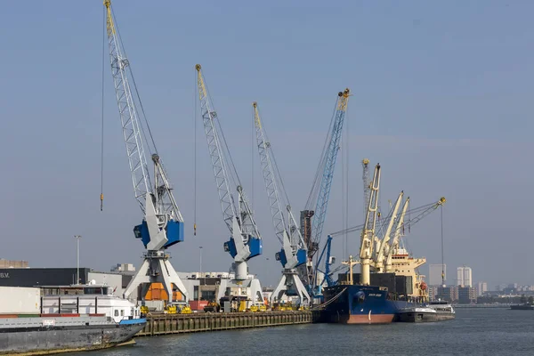 オランダ ロッテルダムの船とドックにクレーンを積み込み オフロードする港湾エリア — ストック写真