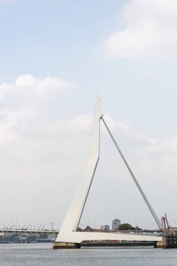 Rotterdam şehir merkezinde Erasmus Köprüsü, ayrıca mavi gökyüzü ve bulutlar ile parlak bir gün kuğu denilen