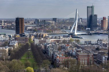 Rotterdam şehir merkezindeki Cityscape