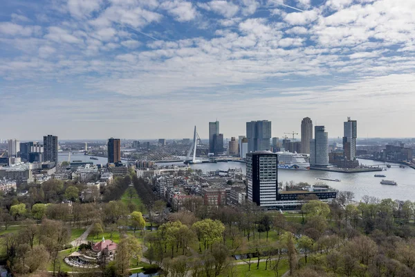 Panoramiczny gród Rotterdam z parkiem na pierwszym planie — Zdjęcie stockowe