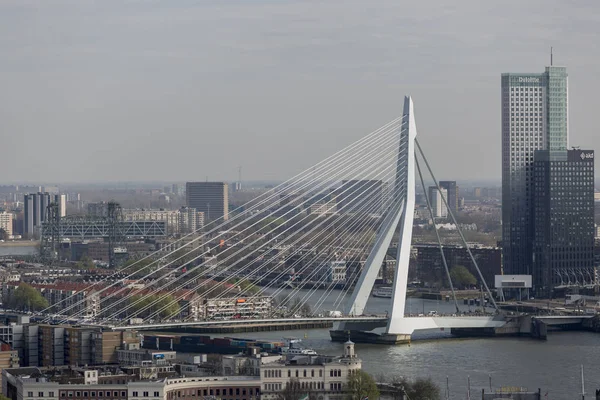 Rotterdam şehir merkezinin şehir manzarasına yakınlaştırılmış — Stok fotoğraf