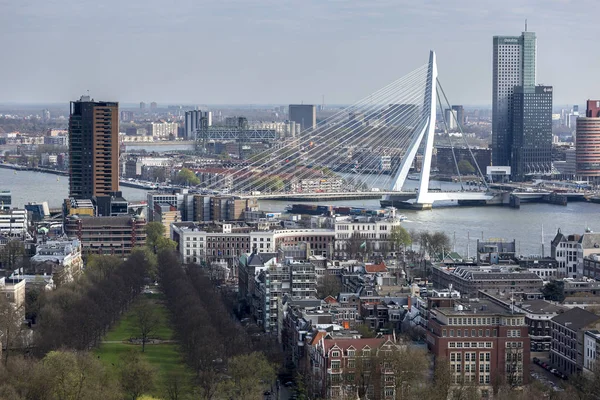 Cityscape of downtown Rotterdam — Stock Photo, Image