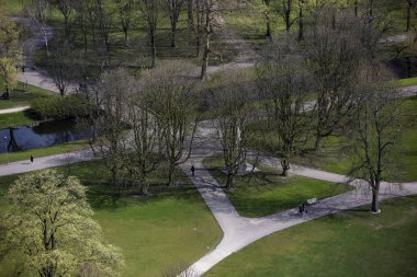 Rotterdam, Hollanda 'da Park Sonbahar sahne, yeşil alanlar ile yol ve ağaçlar küçük yaprakları ile mevsiminde sol ile geçti