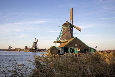 Ön planda baston ve mavi gökyüzü ile parlak bir günde arka planda nehir kıyısında değirmenler bir çift ile gün batımında Tipik Hollanda yel değirmeni manzara