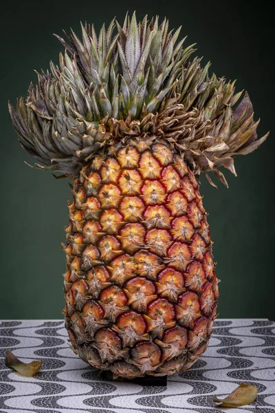 Close Upright Standing Pineapple Extraordinary Top Looks Mexican Sombrero Napoleon — Stock Photo, Image