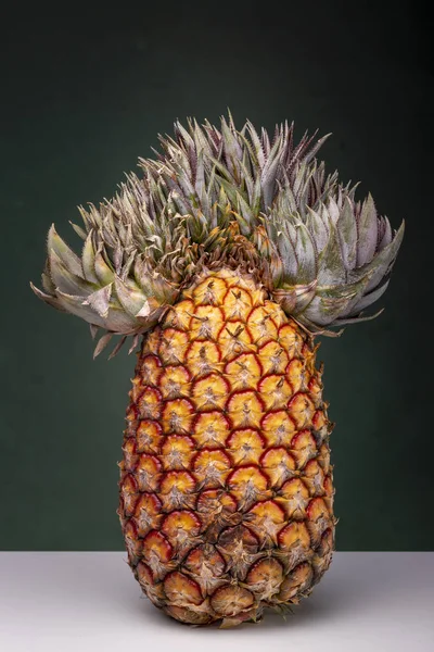 Close Upright Standing Pineapple Extraordinary Top Looks Mexican Sombrero Napoleon — Stock Photo, Image