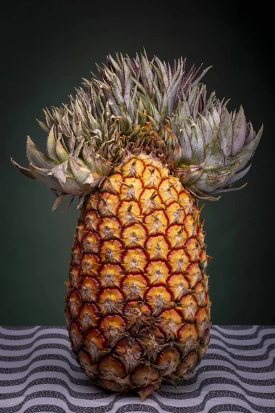 Zamknij Się Pionowo Stojący Ananas Niezwykłym Szczycie Który Wygląda Jak — Zdjęcie stockowe