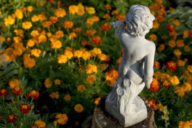 Gün batımında gölgeye neden olan bir örümcek ile arkadan görülen turuncu kadife çiçeği bir alan ile bahçede Bahçe heykeli