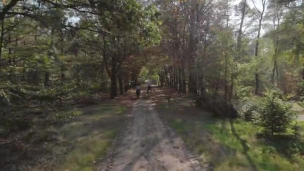 Movimiento Lento Hacia Adelante Carril Camino Tierra Que Entra Bosque — Vídeos de Stock