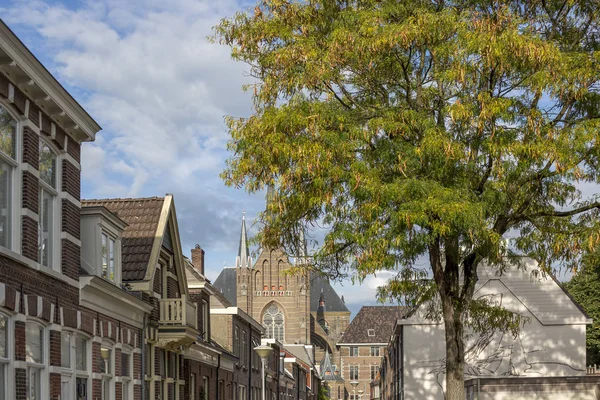 Tree Traditional Dutch Labour Neighbourhood Church Background Late Afternoon — Stock Photo, Image