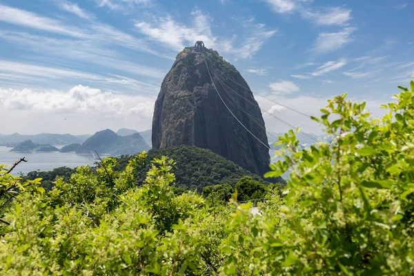 里约热内卢的糖面包山 前景是树叶 尼泰罗伊是背景 — 图库照片