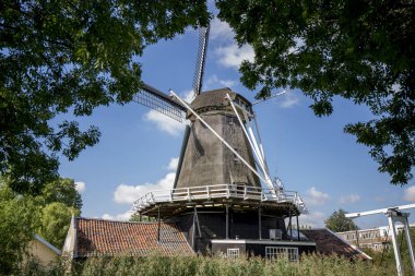 Utrecht'te sarkan yapraklarla çerçevelenmiş yel değirmeni