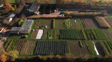 Hollanda 'da biyolojik dinamik bir çiftliğin sebze ve meyve bahçesinde düzenli bir ürün çeşitliliği ve yanında atlarla otlaklar