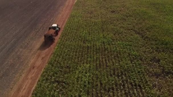 Widok Lotu Ptaka Ciągnika Rolniczego Mijającego Pole Kukurydzy Przyczepą Nim — Wideo stockowe