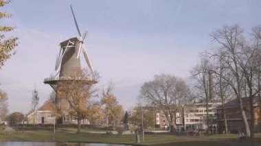 Hollanda 'nın Leiden şehrinde sonbaharda yapraksız ağaçlarla dolu bir yerleşim bölgesinde filizlenen tipik bir yel değirmeni.