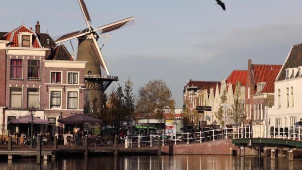 Живописный Вид Город Лейден Нидерланды Ветряной Мельницей Воде Голубым Небом — стоковое видео
