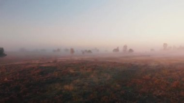 Sabahın erken saatlerinde sisli bir manzaranın havadan görünüşü geriye doğru giderek toprak yoldan geçen geniş alanı ortaya çıkarıyor.