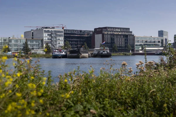 Amsterdam Niederlande August 2019 Moderne Bauten Hausviertel — Stockfoto