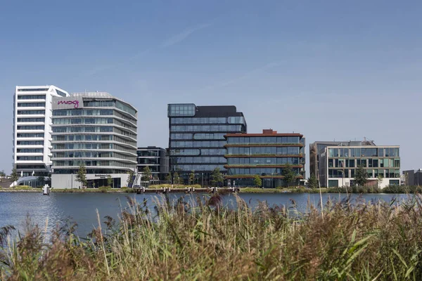 Amsterdam Nederländerna Augusti 2019 Moderna Byggnader Bostadsområdet Houthaven — Stockfoto