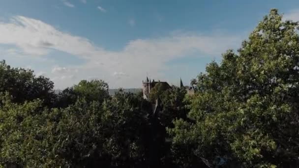 Aerial Reveal Muiderslot Castle Muiden Amsterdam Starting Trees Moving Forward — Stock Video