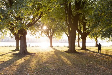 Yoğun turuncu güneş ışınlarıyla gün batımı ön plandaki çayırda güçlü gölgeler bırakıyor. Arka planda Maas nehri var.