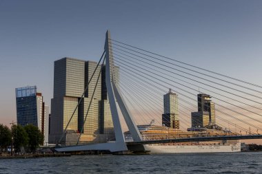Erasmus Köprüsü ve Hollanda 'nın finans bölgesinin yüksek binaları açık mavi gökyüzüne karşı