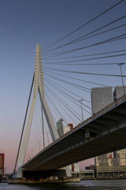 Erasmus Köprüsü ve Hollanda 'nın finans bölgesinin yüksek binaları açık mavi gökyüzüne karşı