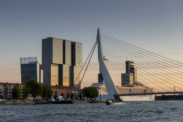 Ponte Erasmus Grattacieli Del Distretto Finanziario Della Città Olandese Sullo — Foto Stock